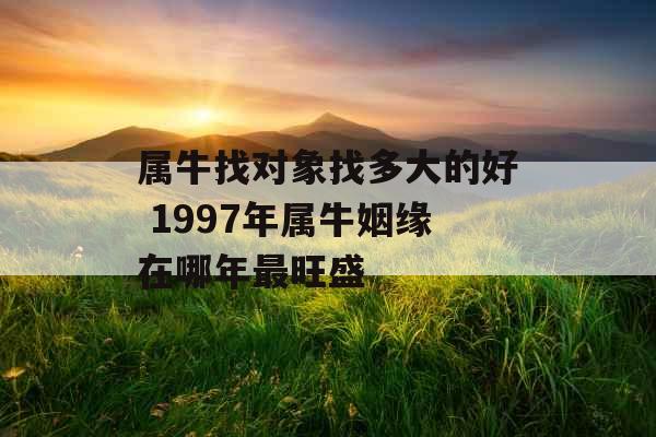 属牛找对象找多大的好 1997年属牛姻缘在哪年最旺盛