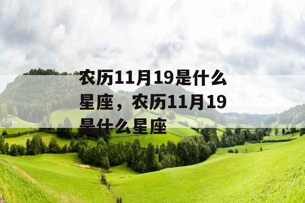 农历11月19是什么星座，农历11月19是什么星座