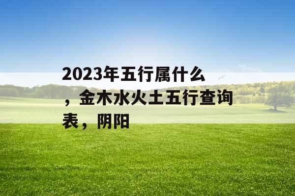 2023年五行属什么，金木水火土五行查询表，阴阳