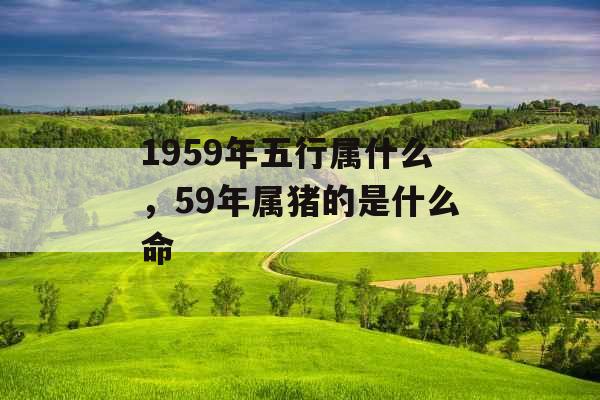 1959年五行属什么，59年属猪的是什么命