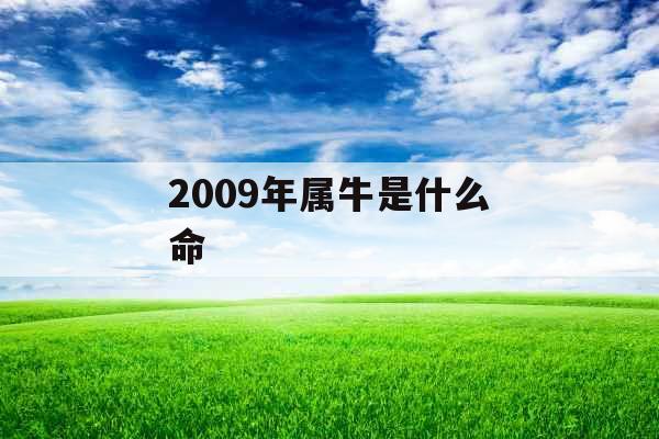 2009年属牛是什么命