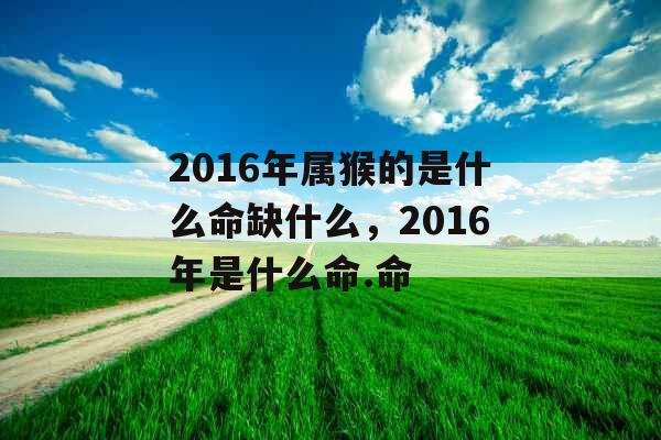 2016年属猴的是什么命缺什么，2016年是什么命.命