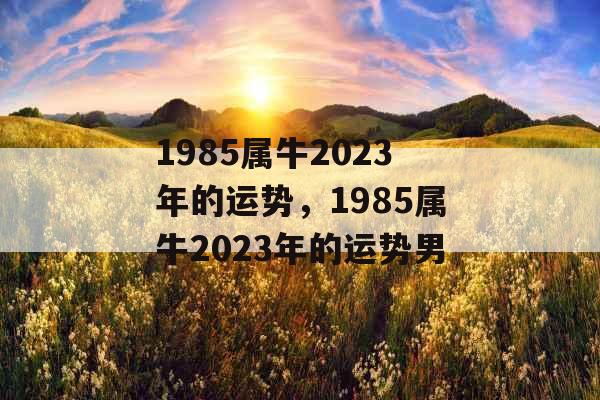 1985属牛2023年的运势，1985属牛2023年的运势男