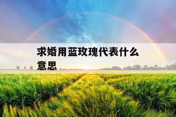 求婚用蓝玫瑰代表什么意思