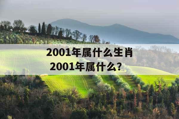 2001年属什么生肖 2001年属什么？