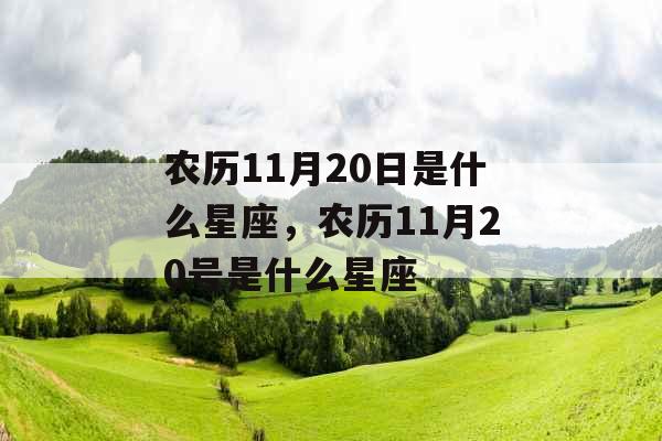 农历11月20日是什么星座，农历11月20号是什么星座