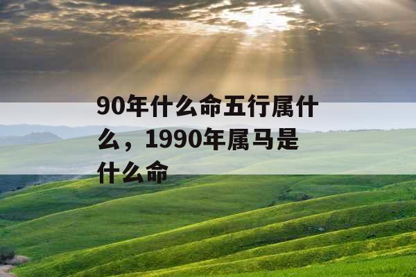 90年什么命五行属什么，1990年属马是什么命