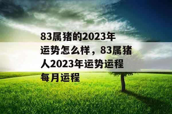 83属猪的2023年运势怎么样，83属猪人2023年运势运程每月运程