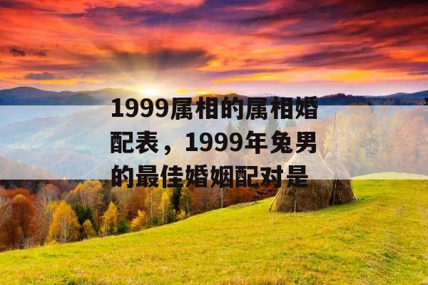 1999属相的属相婚配表，1999年兔男的最佳婚姻配对是