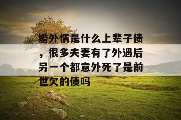 婚外情是什么上辈子债,很多夫妻有了外遇后另一个都意外死了是前世欠的债吗 婚外情是什么上辈子债,很多夫妻有了外遇后另一个都意外死了是前世欠的债吗