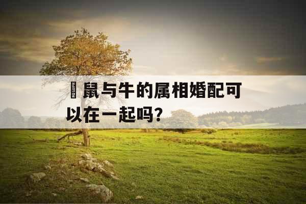 鼠与牛的属相婚配可以在一起吗? 鼠与牛的属相婚配可以在一起吗?