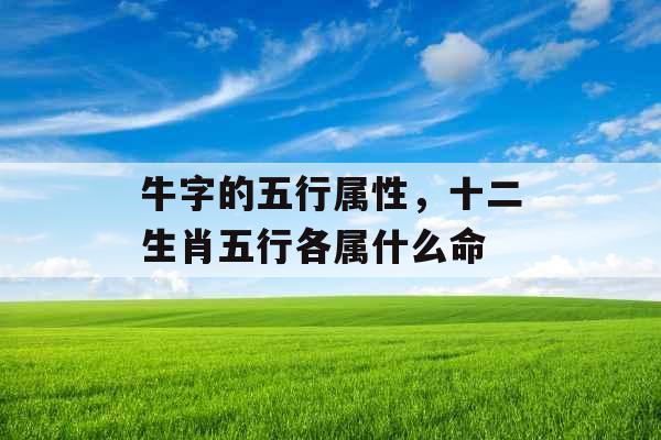 牛字的五行属性，十二生肖五行各属什么命