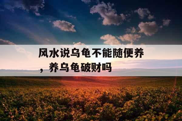 风水说乌龟不能随便养，养乌龟破财吗