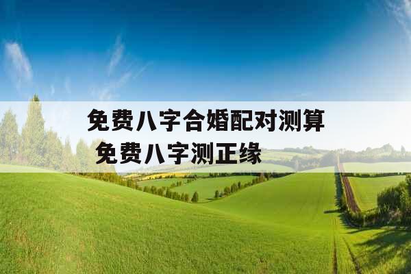 免费八字合婚配对测算 免费八字测正缘