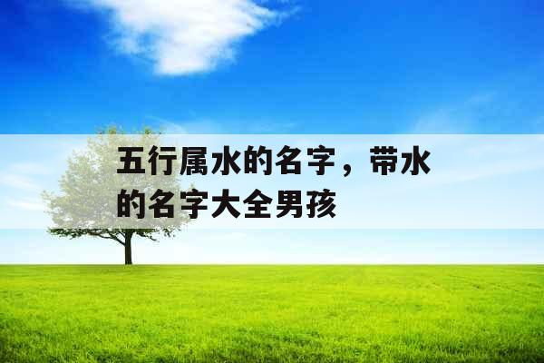 五行属水的名字,带水的名字大全男孩 五行属水的名字,带水的名字大全男孩