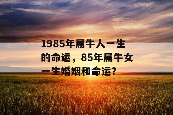 1985年属牛人一生的命运，85年属牛女一生婚姻和命运？