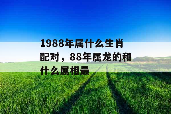 1988年属什么生肖配对，88年属龙的和什么属相最