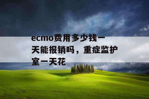 ecmo费用多少钱一天能报销吗,重症监护室一天花 ecmo费用多少钱一天能报销吗,重症监护室一天花
