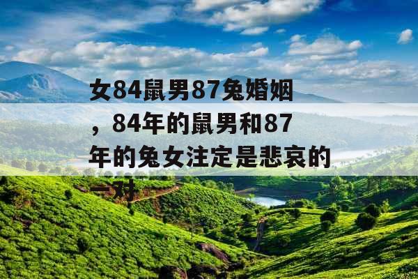女84鼠男87兔婚姻,84年的鼠男和87年的兔女注定是悲哀的一对 女84鼠男87兔婚姻,84年的鼠男和87年的兔女注定是悲哀的一对