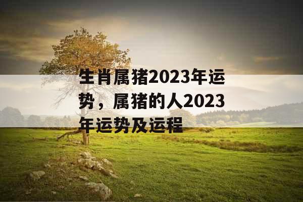 生肖属猪2023年运势，属猪的人2023年运势及运程