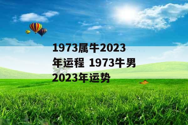 1973属牛2023年运程 1973牛男2023年运势