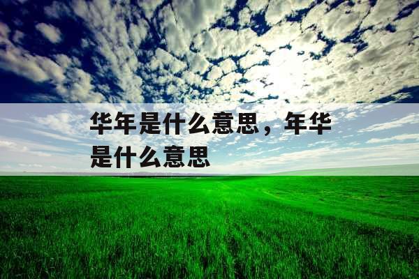 华年是什么意思，年华是什么意思