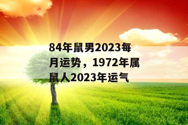 84年鼠男2023每月运势，1972年属鼠人2023年运气