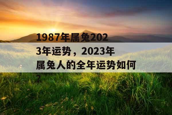 1987年属兔2023年运势，2023年属兔人的全年运势如何？