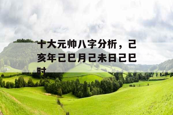 十大元帅八字分析，己亥年己巳月己未日己巳时