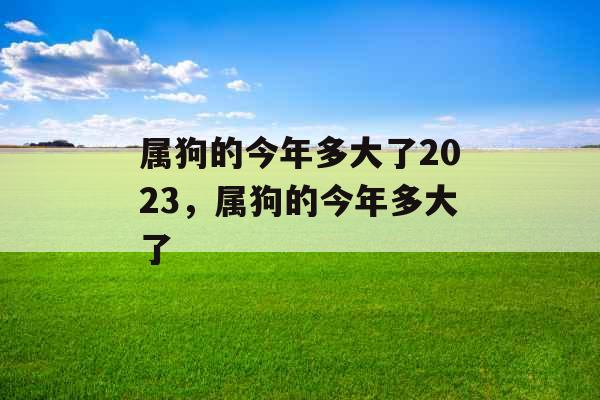 属狗的今年多大了2023，属狗的今年多大了