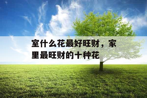 室什么花最好旺财，家里最旺财的十种花