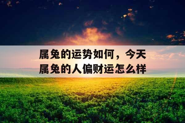 属兔的运势如何，今天属兔的人偏财运怎么样