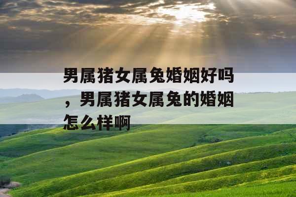 男属猪女属兔婚姻好吗,男属猪女属兔的婚姻怎么样啊 男属猪女属兔婚姻好吗,男属猪女属兔的婚姻怎么样啊