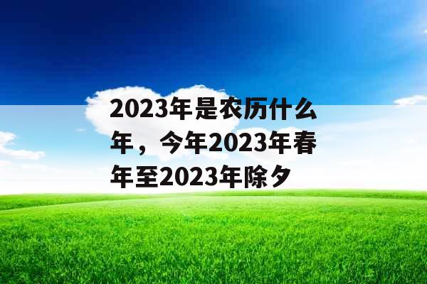 2023年是农历什么年,今年2023年春年至2023年除夕 2023年是农历什么年,今年2023年春年至2023年除夕
