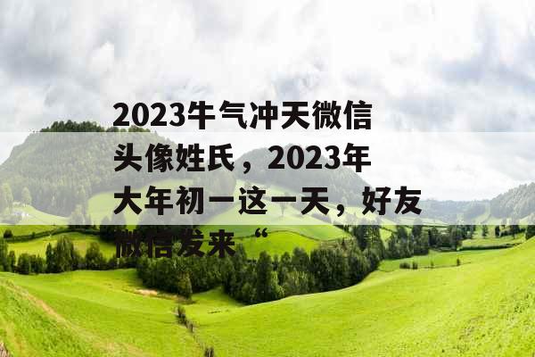 2023牛气冲天微信头像姓氏，2023年大年初一这一天，好友微信发来“