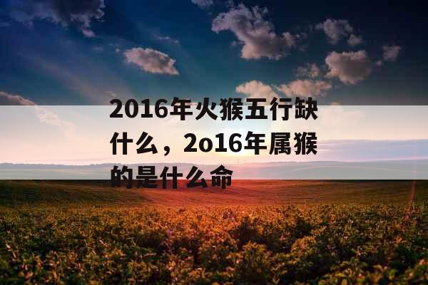 2016年火猴五行缺什么，2o16年属猴的是什么命