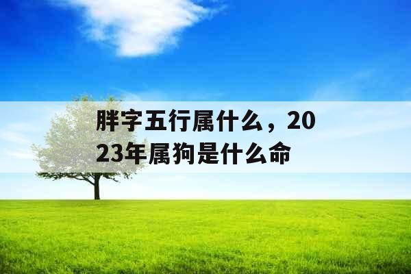 胖字五行属什么，2023年属狗是什么命