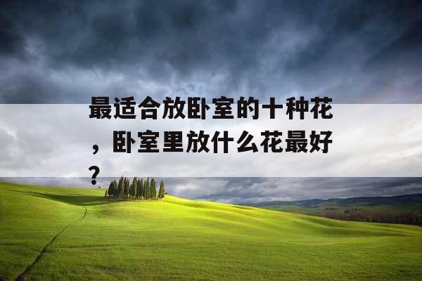 最适合放卧室的十种花,卧室里放什么花最好? 最适合放卧室的十种花,卧室里放什么花最好?