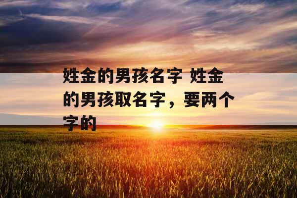 姓金的男孩名字 姓金的男孩取名字,要两个字的 姓金的男孩名字 姓金的男孩取名字,要两个字的