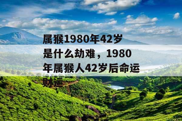 属猴1980年42岁是什么劫难，1980年属猴人42岁后命运财运