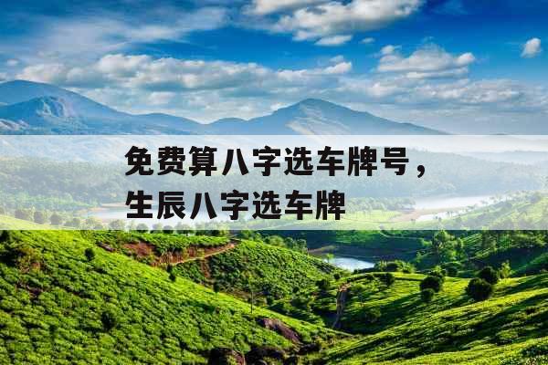 免费算八字选车牌号,生辰八字选车牌 免费算八字选车牌号,生辰八字选车牌
