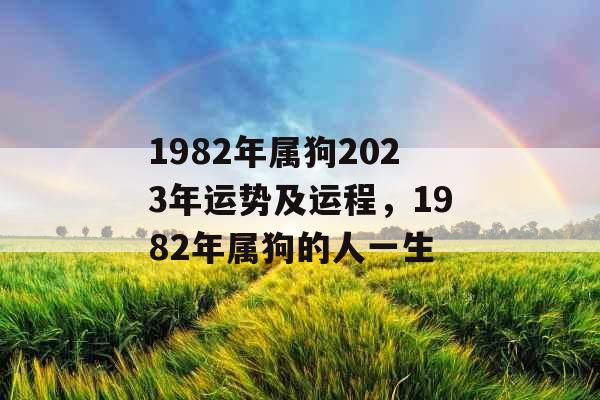 1982年属狗2023年运势及运程，1982年属狗的人一生