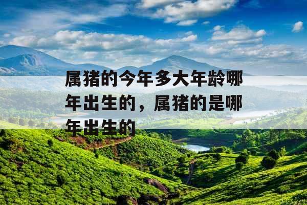 属猪的今年多大年龄哪年出生的,属猪的是哪年出生的 属猪的今年多大年龄哪年出生的,属猪的是哪年出生的