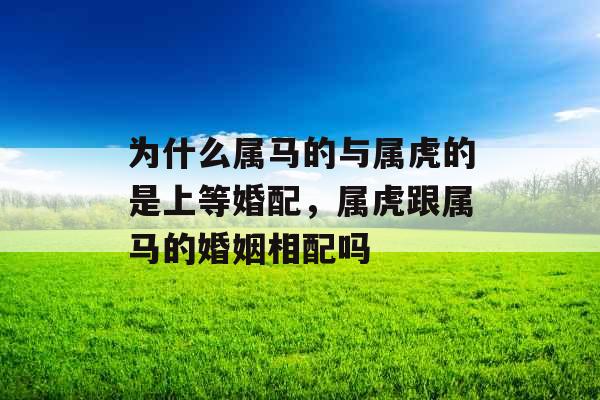 为什么属马的与属虎的是上等婚配,属虎跟属马的婚姻相配吗 为什么属马的与属虎的是上等婚配,属虎跟属马的婚姻相配吗