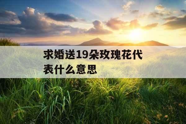 求婚送19朵玫瑰花代表什么意思 求婚送19朵玫瑰花代表什么意思