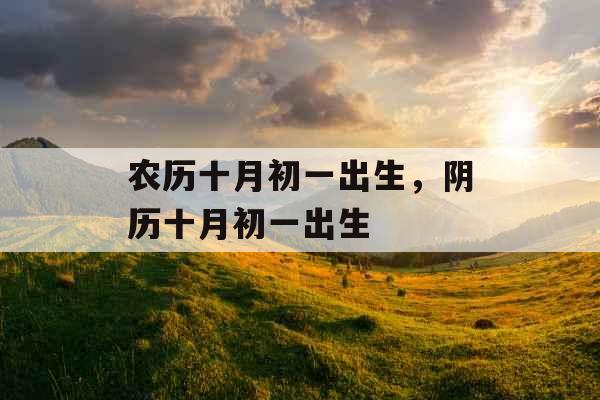 农历十月初一出生，阴历十月初一出生