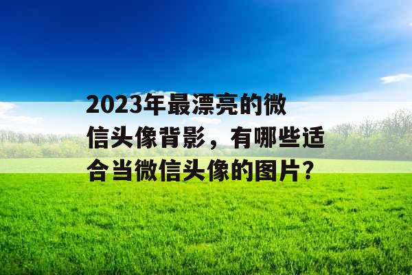 2023年最漂亮的微信头像背影，有哪些适合当微信头像的图片？