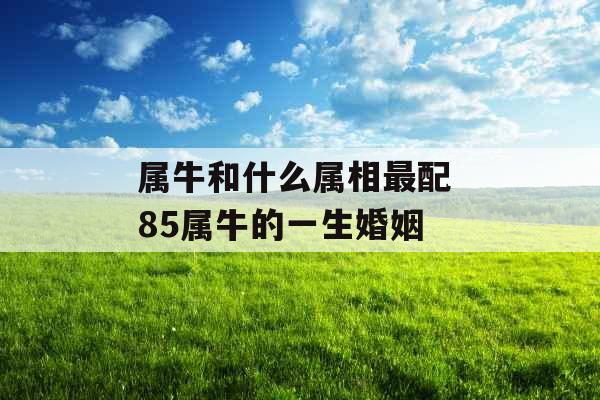 属牛和什么属相最配 85属牛的一生婚姻 属牛和什么属相最配 85属牛的一生婚姻