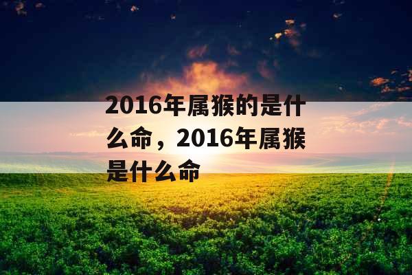 2016年属猴的是什么命，2016年属猴是什么命