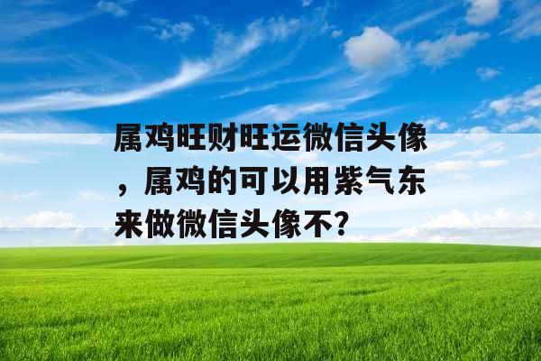 属鸡旺财旺运微信头像，属鸡的可以用紫气东来做微信头像不？